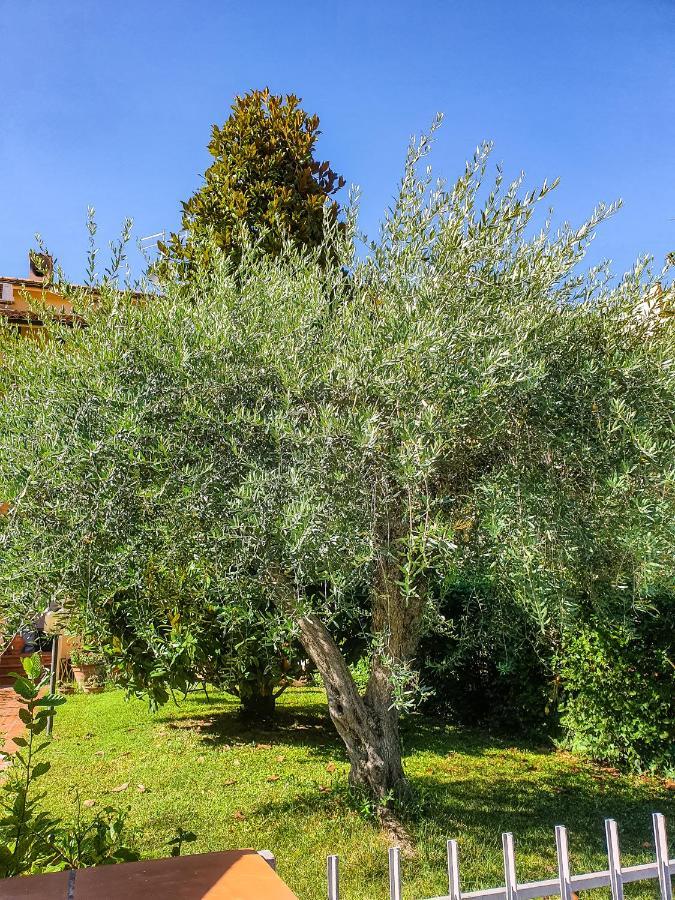 Villa Elsa, Cesena Zona Ippodromo Kültér fotó