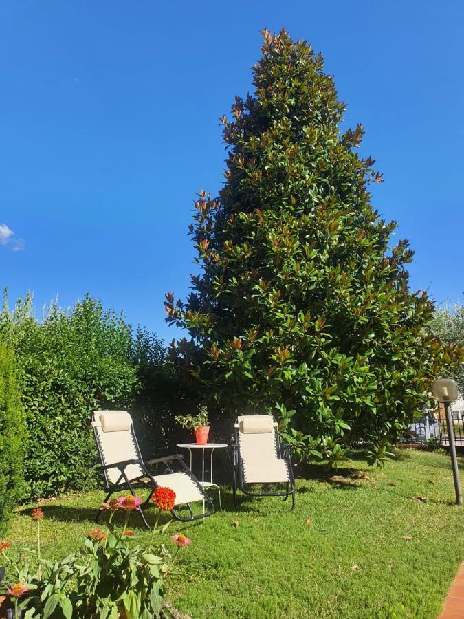 Villa Elsa, Cesena Zona Ippodromo Kültér fotó
