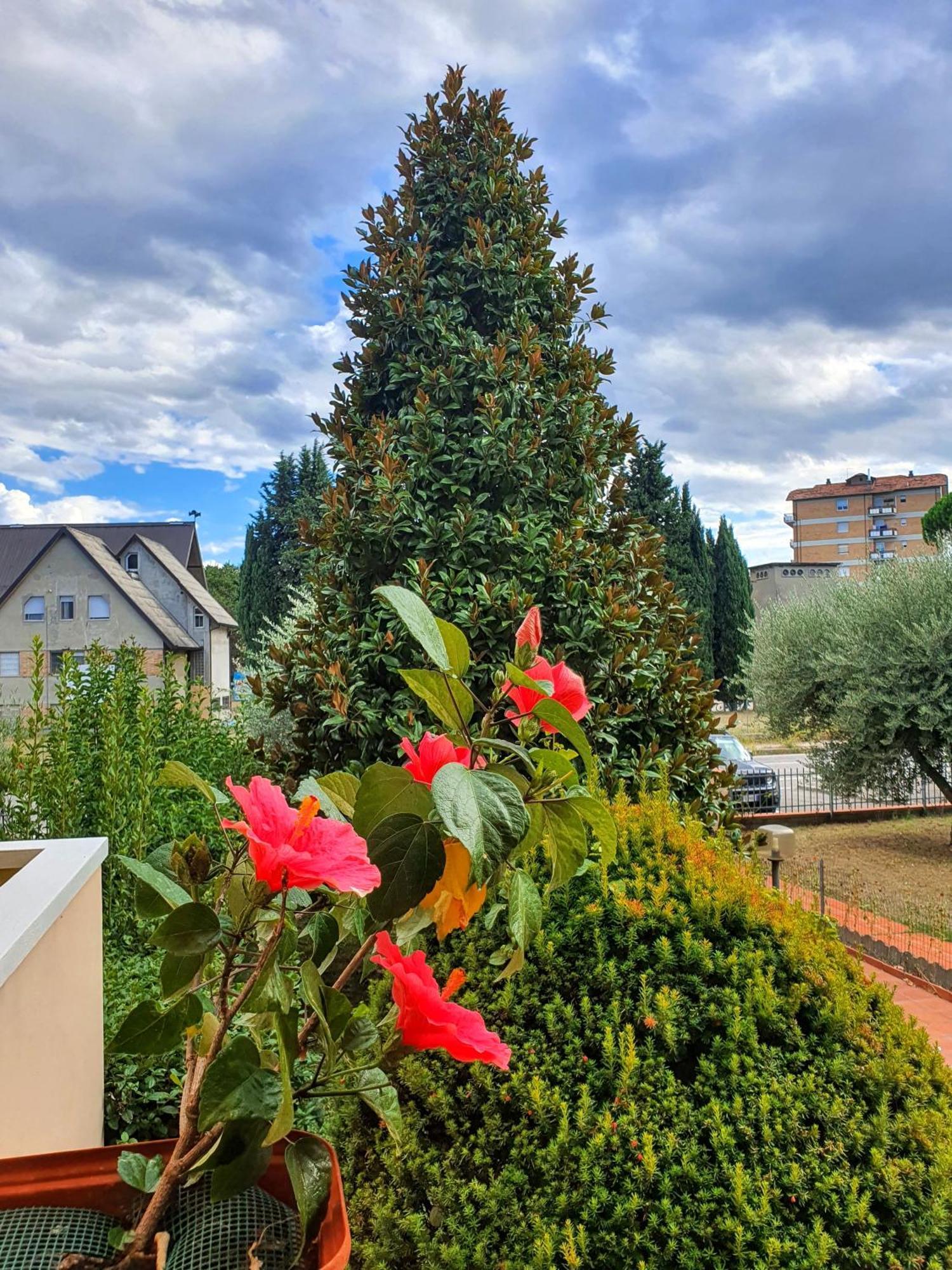 Villa Elsa, Cesena Zona Ippodromo Kültér fotó