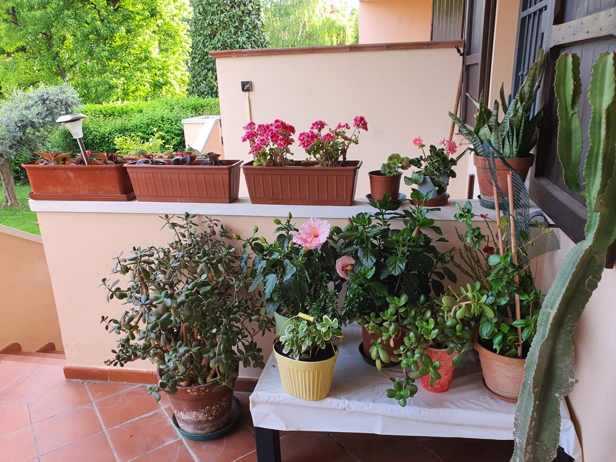 Villa Elsa, Cesena Zona Ippodromo Kültér fotó