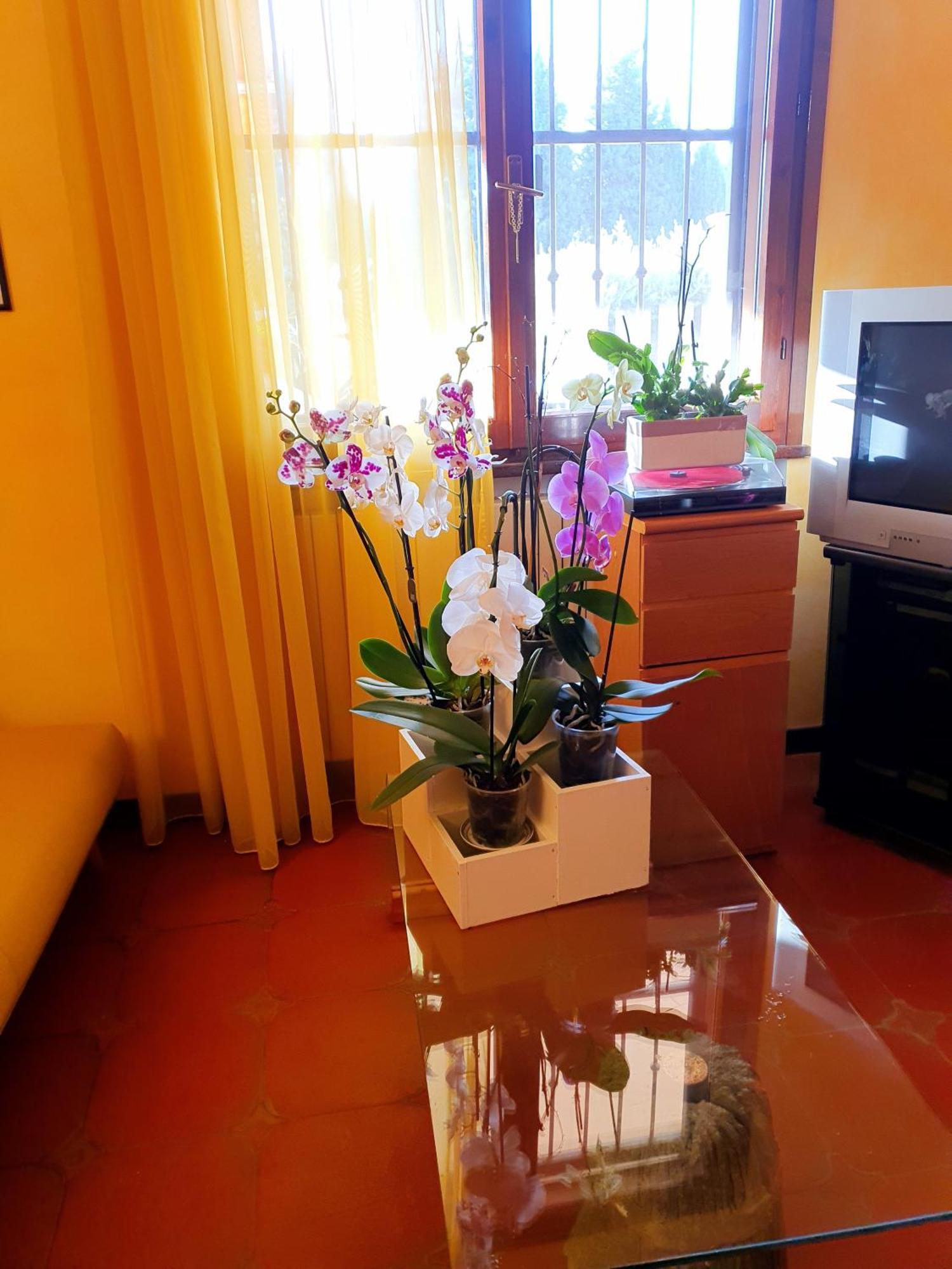 Villa Elsa, Cesena Zona Ippodromo Kültér fotó